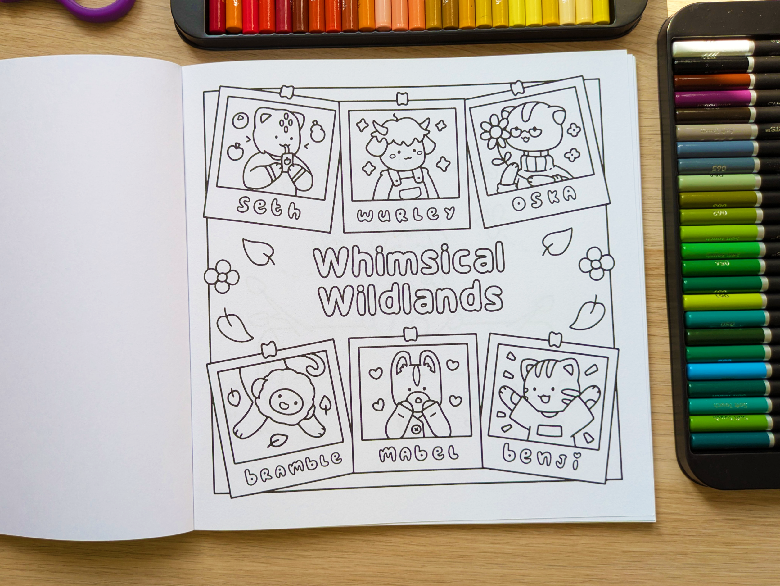 Whimsical Wildlands Paperback 325